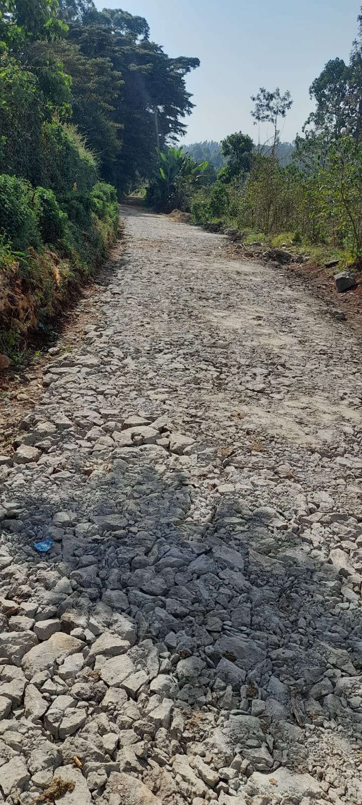 Gathigi Road section spread with gravel before compaction