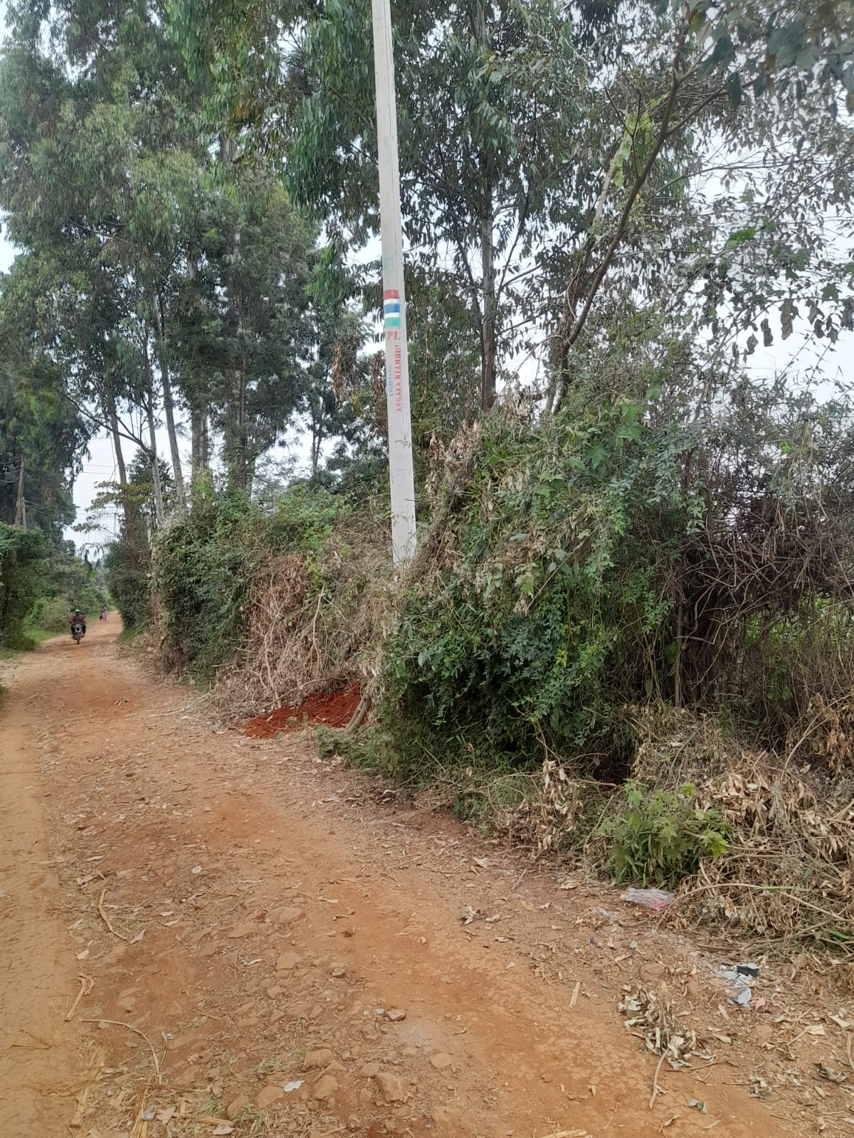 A newly erected street lighting pole standing along a ward road