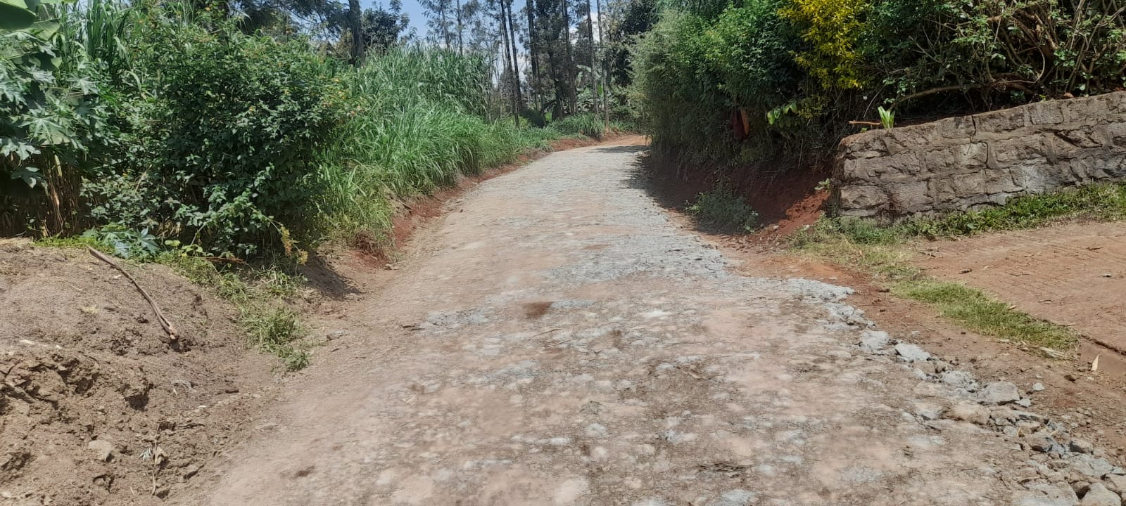 Graveled and shaped stretch of the Gathigi Road